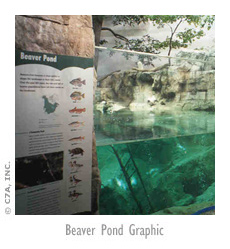 Beaver Pond Graphic